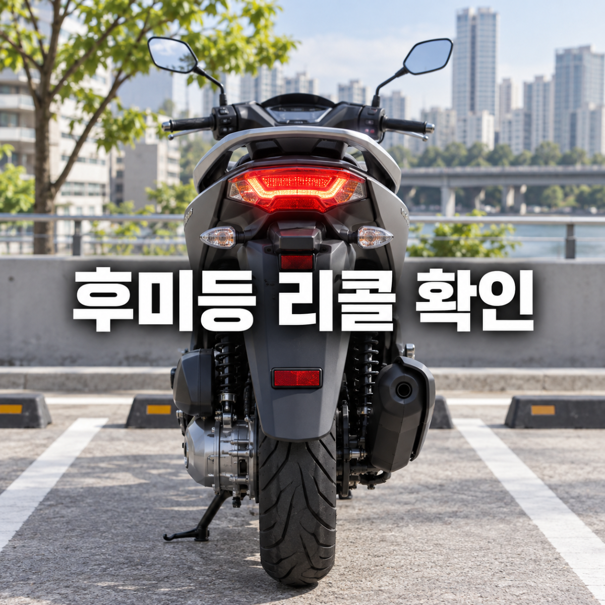 본문 이미지 1